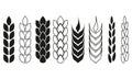 Wheat ears or rice icon set. Crop, barley or rye symbols. Agriculture design elements collection. Vector illustration Royalty Free Stock Photo